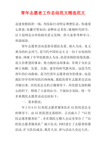青年志愿者工作总结范文精选范文