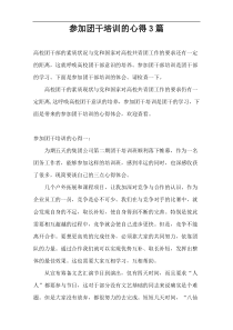 参加团干培训的心得3篇