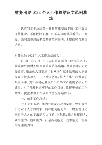 财务出纳2022个人工作总结范文范例精选