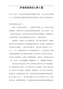 护理岗前培训心得5篇