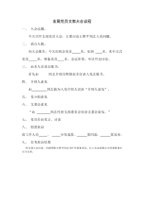 发展党员支部大会议程