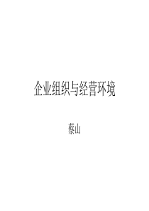 中英合作企业组织与经营环境XXXX年串讲