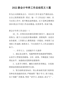 2022新会计年终工作总结范文5篇