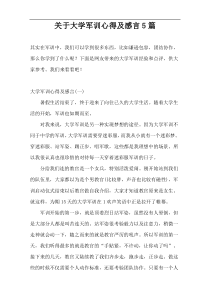 关于大学军训心得及感言5篇