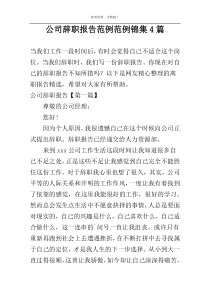 公司辞职报告范例范例锦集4篇