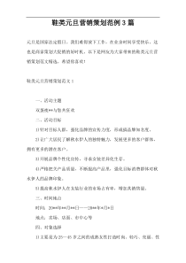鞋类元旦营销策划范例3篇
