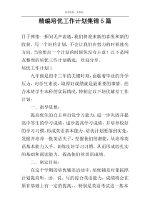 精编培优工作计划集锦5篇