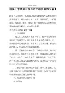 精编土木类实习报告范文样例集锦【4篇】