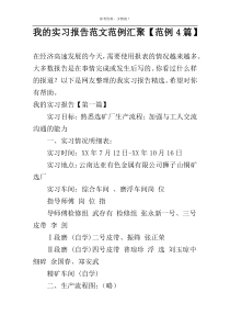 我的实习报告范文范例汇聚【范例4篇】