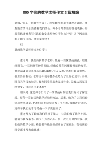 [800字]我的数学老师作文3篇精编
