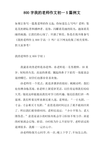 [800字]我的老师作文初一5篇例文
