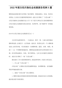 2022年度白色污染社会实践报告范例5篇