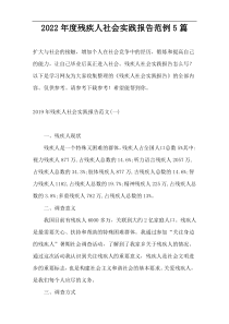 2022年度残疾人社会实践报告范例5篇