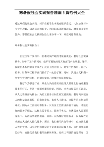 寒暑假社会实践报告精编5篇范例大全