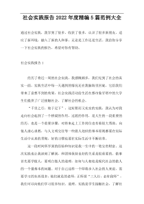 社会实践报告2022年度精编5篇范例大全