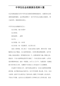 中学生社会实践报告范例5篇