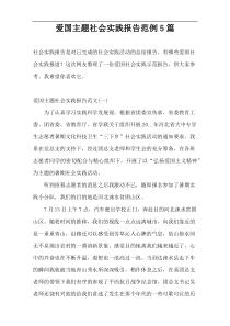 爱国主题社会实践报告范例5篇