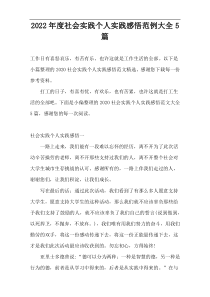 2022年度社会实践个人实践感悟范例大全5篇
