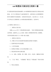 cad制图实习报告范文范例3篇