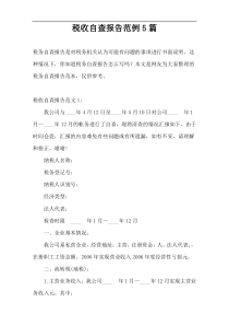 税收自查报告范例5篇