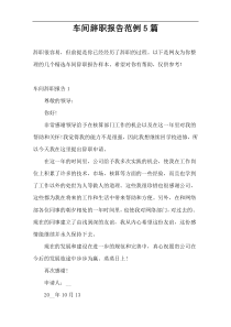 车间辞职报告范例5篇