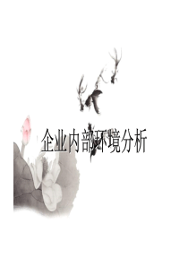企业内部环境分析
