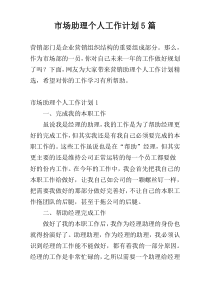 市场助理个人工作计划5篇