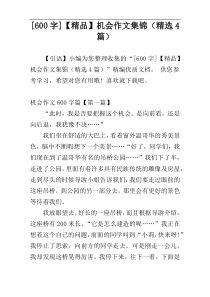 [600字]【精品】机会作文集锦（精选4篇）