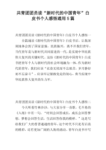 共青团团员读“新时代的中国青年”白皮书个人感悟通用5篇