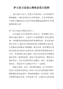 护士实习总结心得体会范文范例