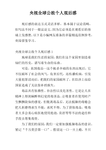 央视全球公敌个人观后感