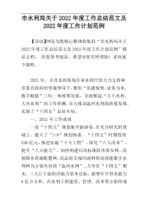 2022年度市水利局关于工作总结范文及2022年度工作计划范例
