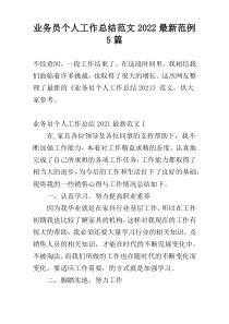 业务员个人工作总结范文2022最新范例5篇