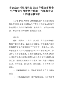 市农业农村局局长在全市粮食生产暨大豆带状复合种植工作视频会议上的讲话稿2022年度范例
