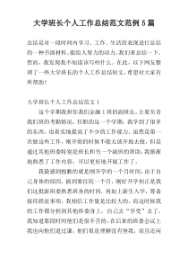 大学班长个人工作总结范文范例5篇