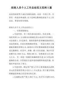 招商人员个人工作总结范文范例5篇