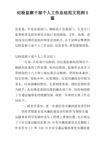 纪检监察干部个人工作总结范文范例5篇