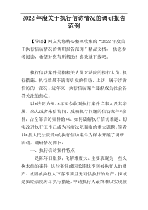 关于执行信访情况的调研报告2022年度范例