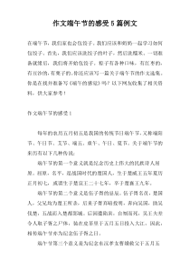 作文端午节的感受5篇例文
