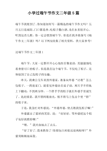 小学过端午节作文二年级5篇