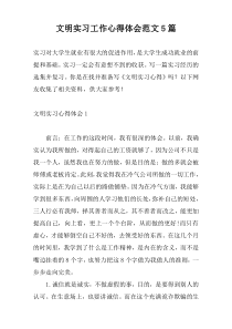 文明实习工作心得体会范文5篇