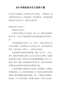 800字我的家乡作文范例5篇