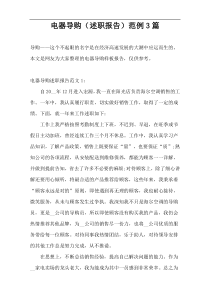 电器导购（述职报告）范例3篇