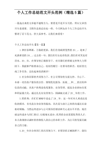 个人工作总结范文开头范例（精选5篇）