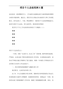 项目个人总结范例5篇