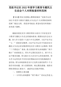 2022年度党组书记在学习教育专题民主生活会个人对照检查材料范例