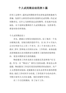 个人试用期总结范例5篇