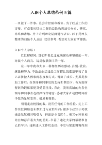 入职个人总结范例5篇