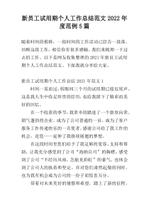 新员工试用期个人工作总结范文2022年度范例5篇
