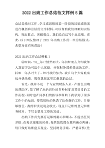 2022出纳工作总结范文样例5篇